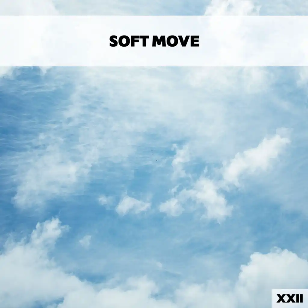 Soft Move XXII