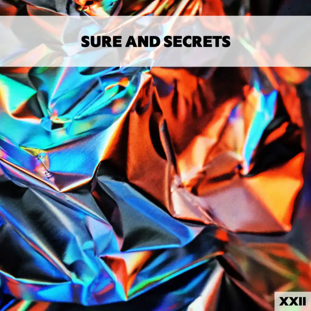 Sure And Secrets XXII