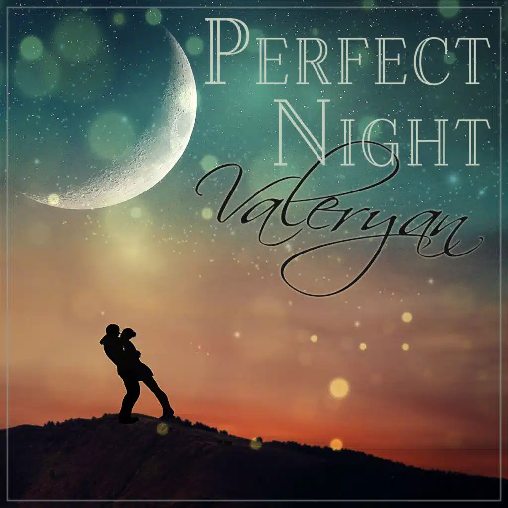 Perfect Night - Single
