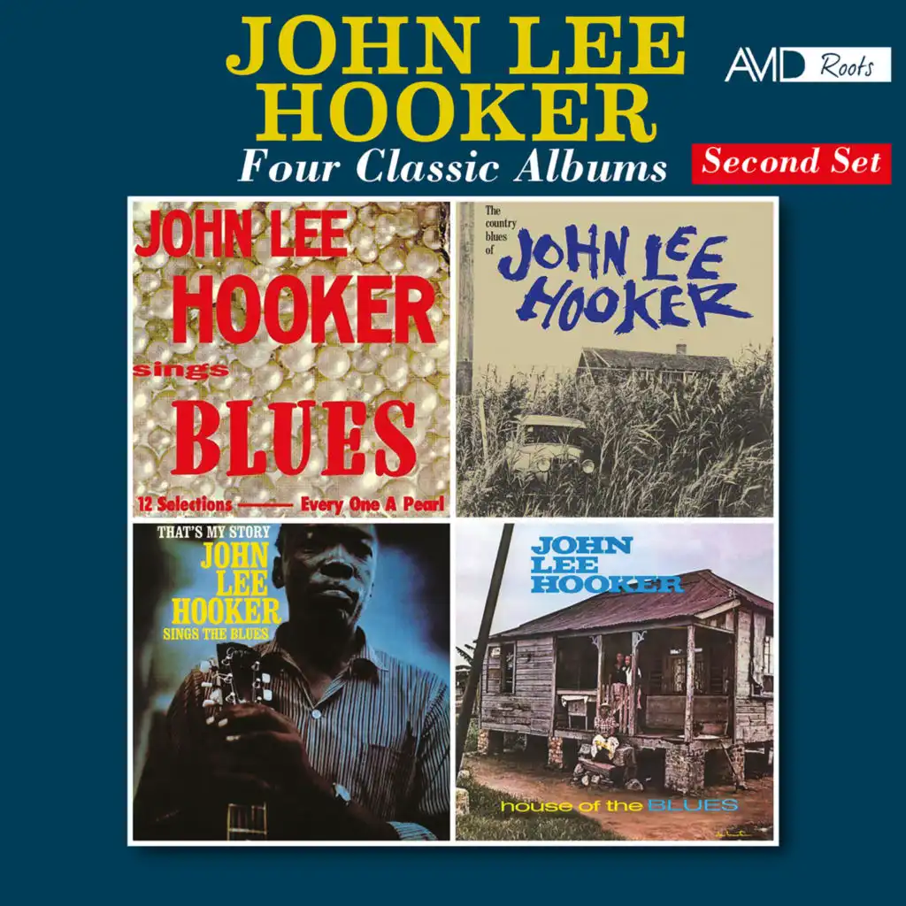 How Long Blues (The Country Blues of John Lee Hooker)