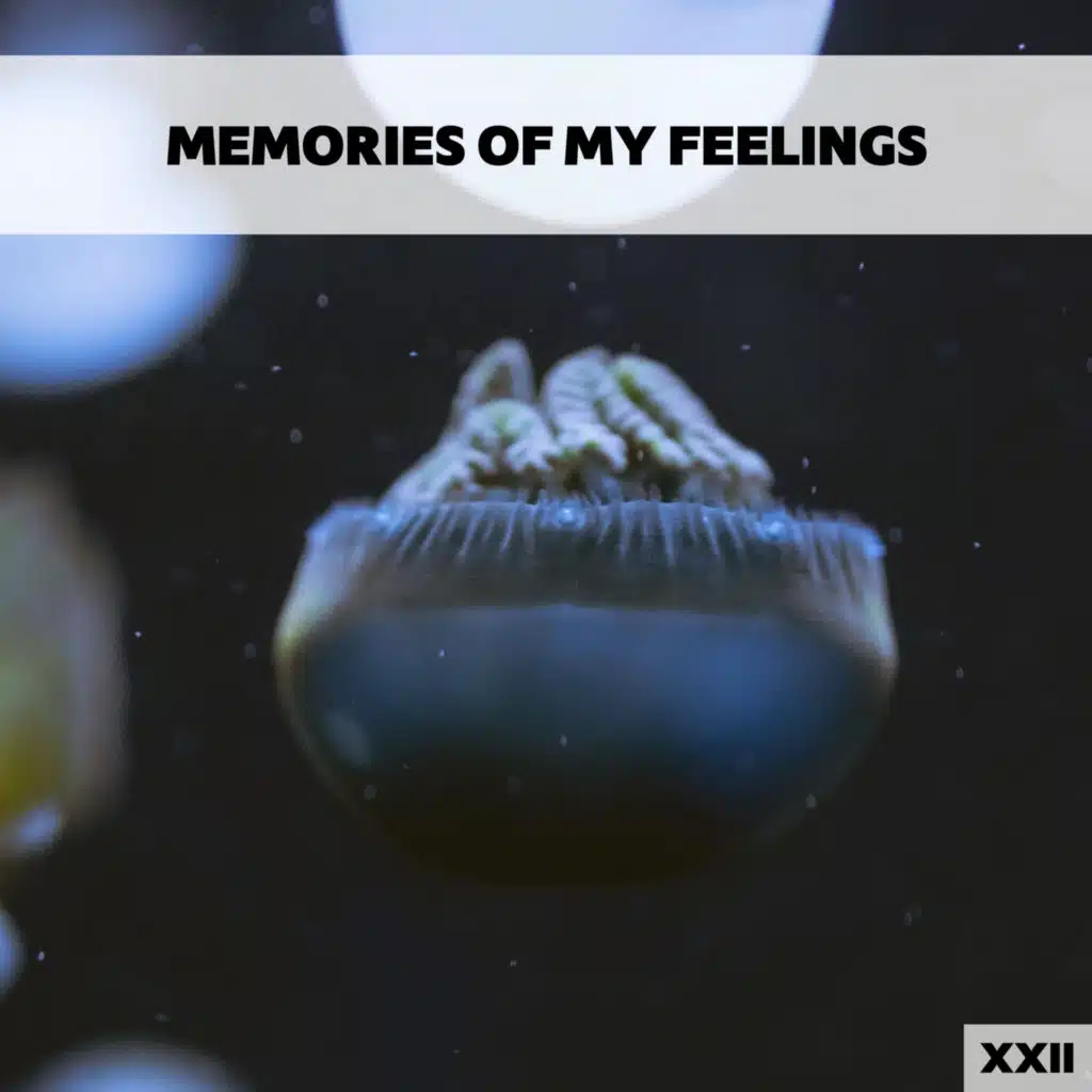 Al Ritmo Del Sol (Vincent Lanzara Edit)