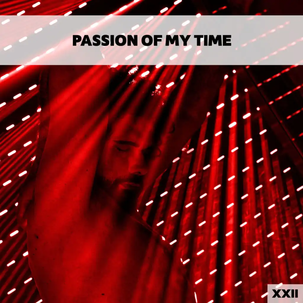 Passion Of My Time XXII