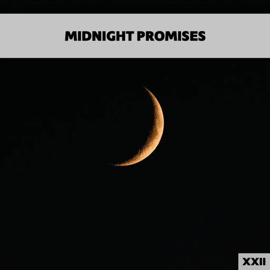 Midnight Promises XXII