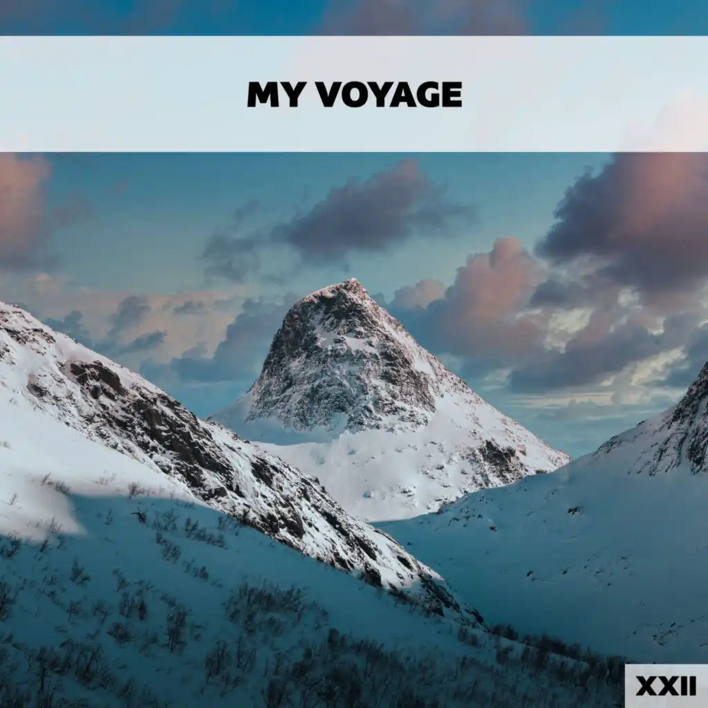 My Voyage XXII