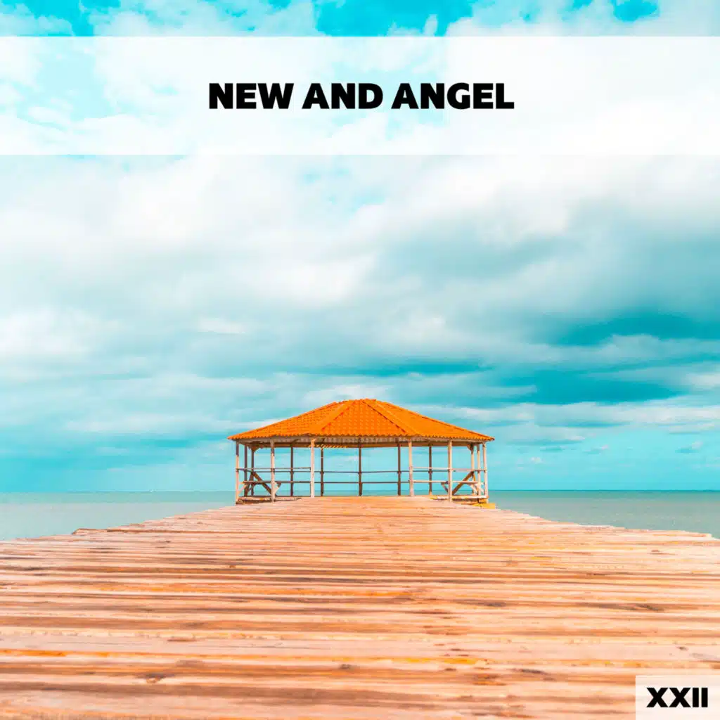 New And Angel XXII