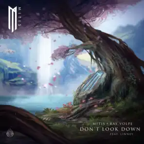 Don’t Look Down (feat. Linney)