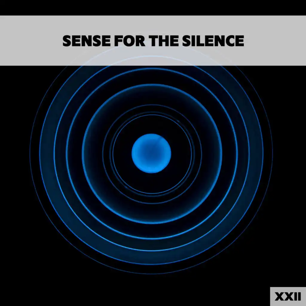 Sense For The Silence XXII