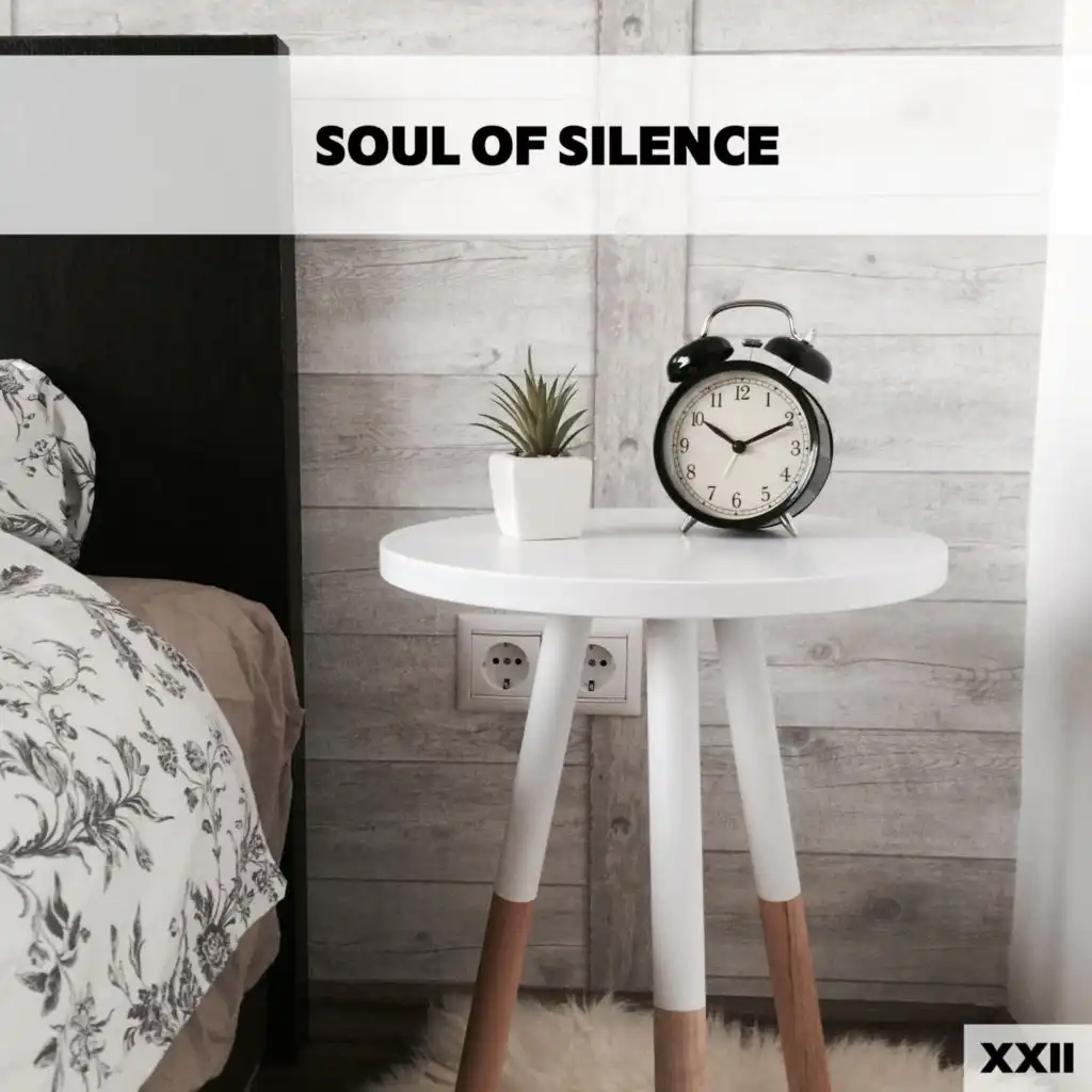 Soul Of Silence XXII