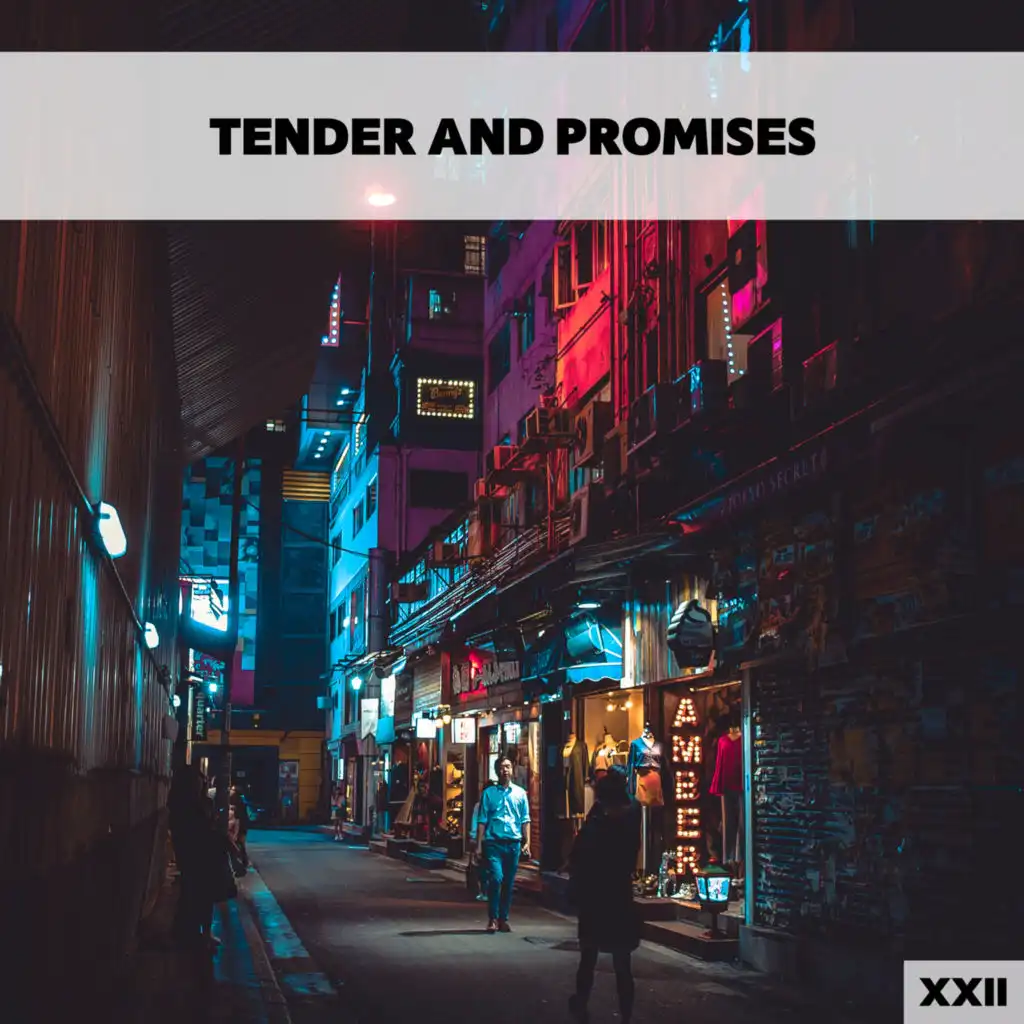 Tender And Promises XXII