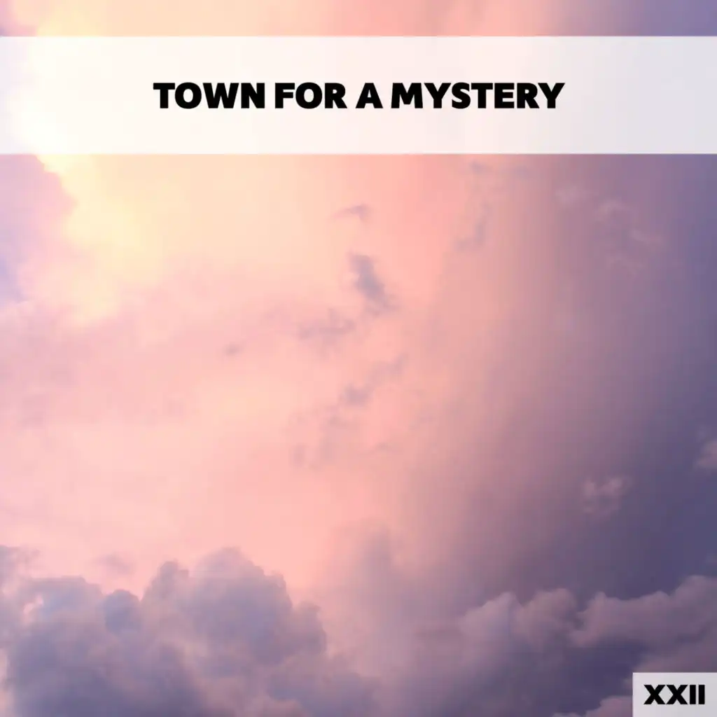 Town For A Mystery XXII
