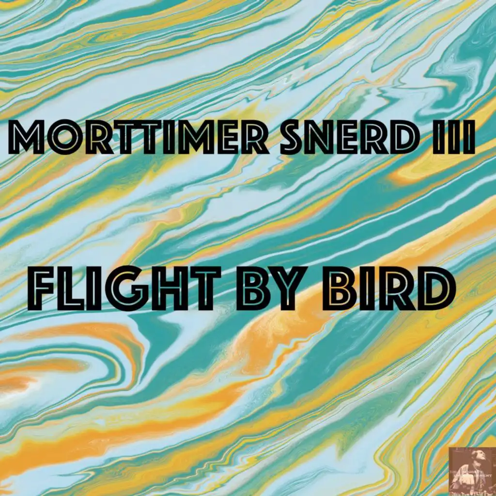 Flight By Bird (BVP Drum God ReThump) [feat. Belizian Voodoo Priest & Sir Soundbender]