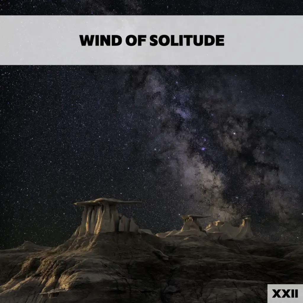 Wind Of Solitude XXII