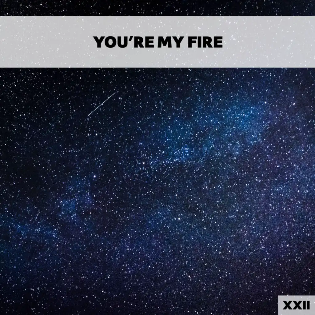 You're My Fire XXII