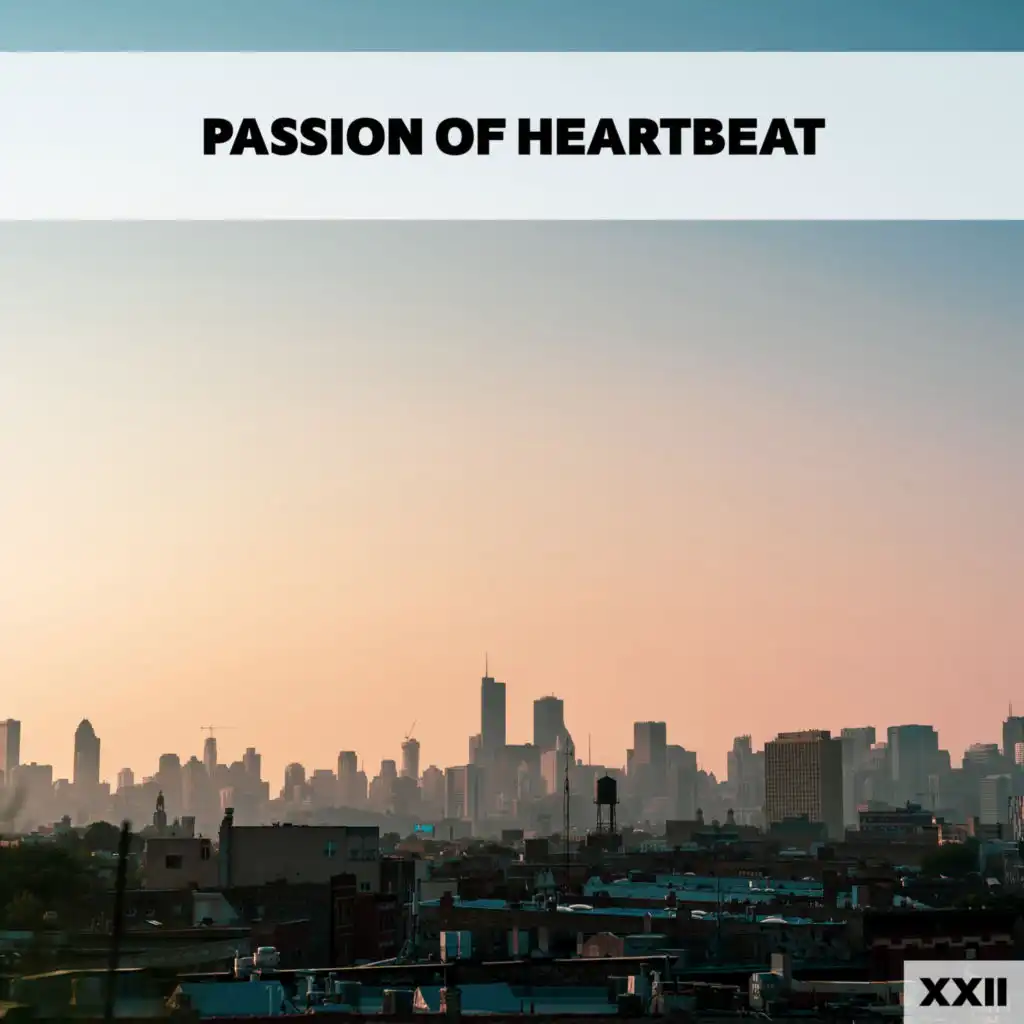 Passion Of Heartbeat XXII
