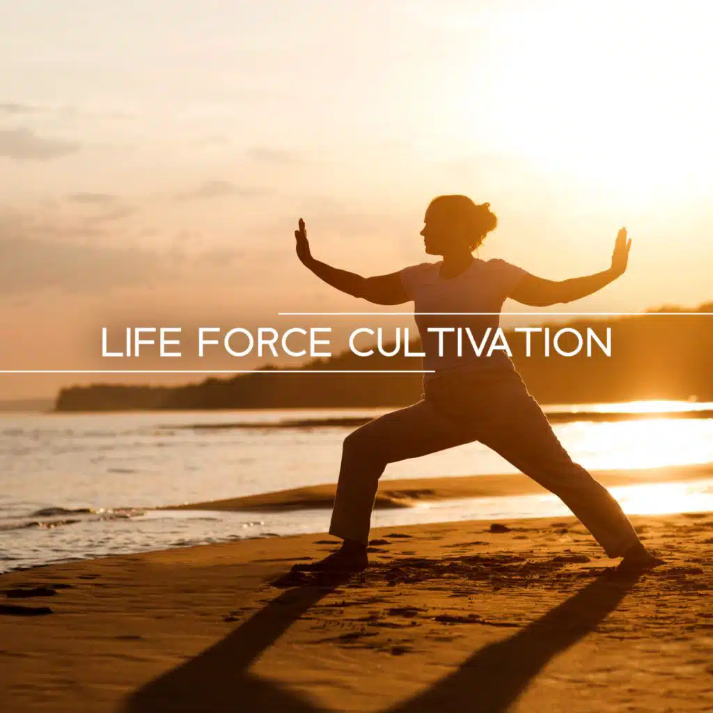 Life Force Cultivation (Chinese Yoga Session, Traditional Chinese Music for Qigong)