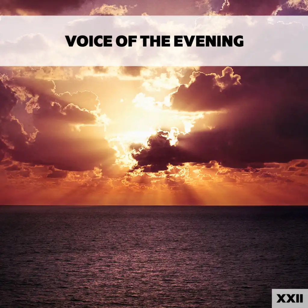 Voice Of The Evening XXII