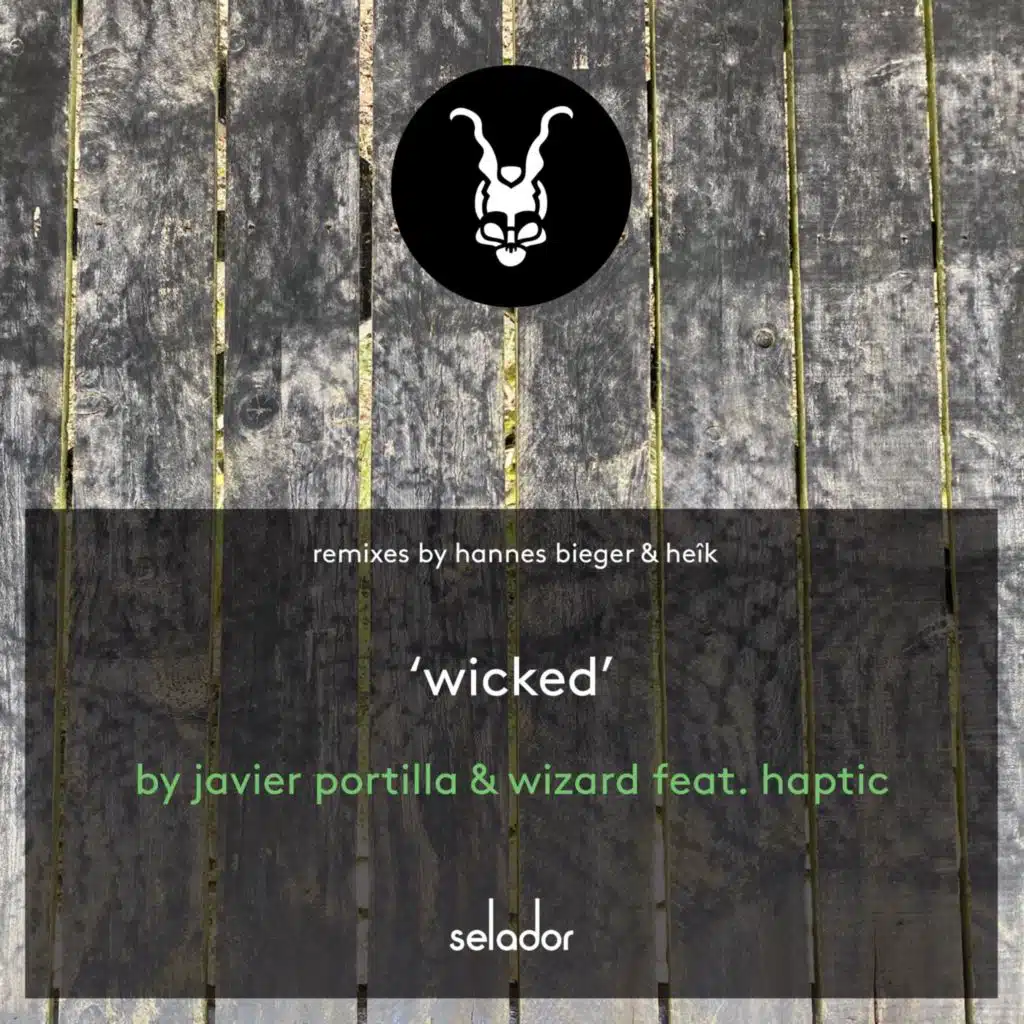 Wicked (feat. Haptic)