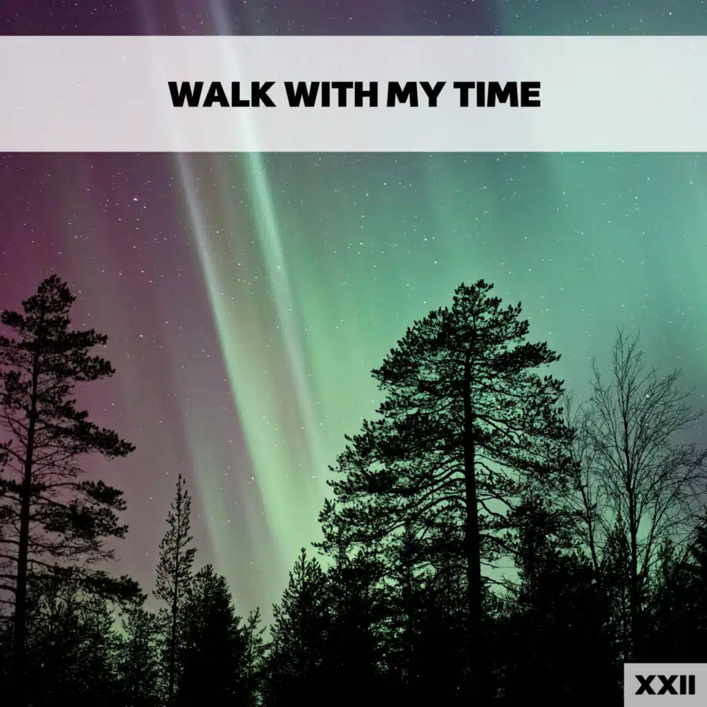 Walk With My Time XXII