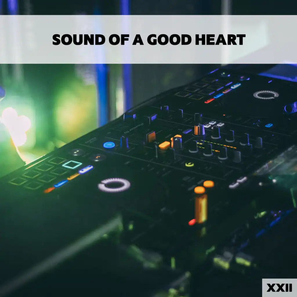 Sound Of A Good Heart XXII