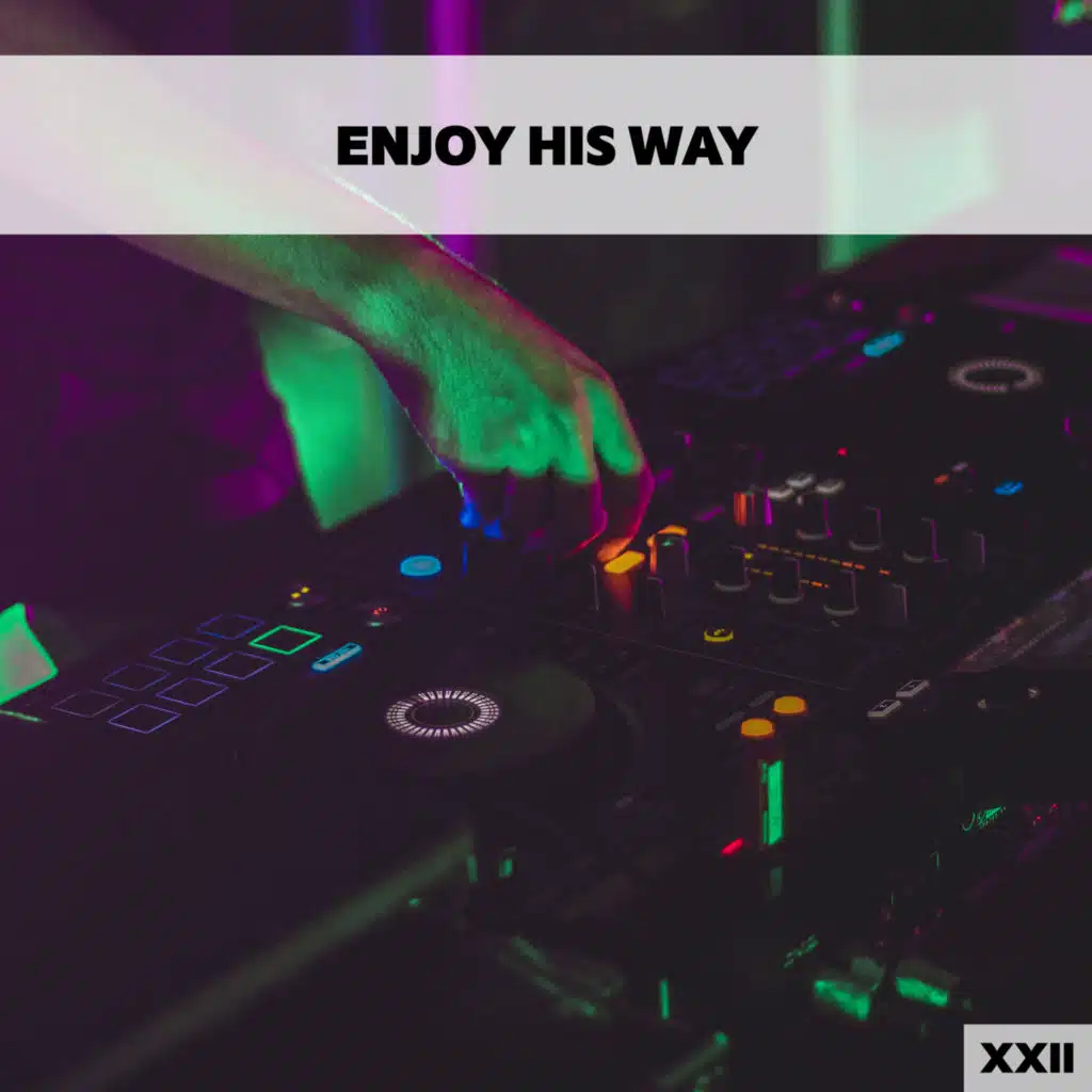 Enjoy His Way XXII