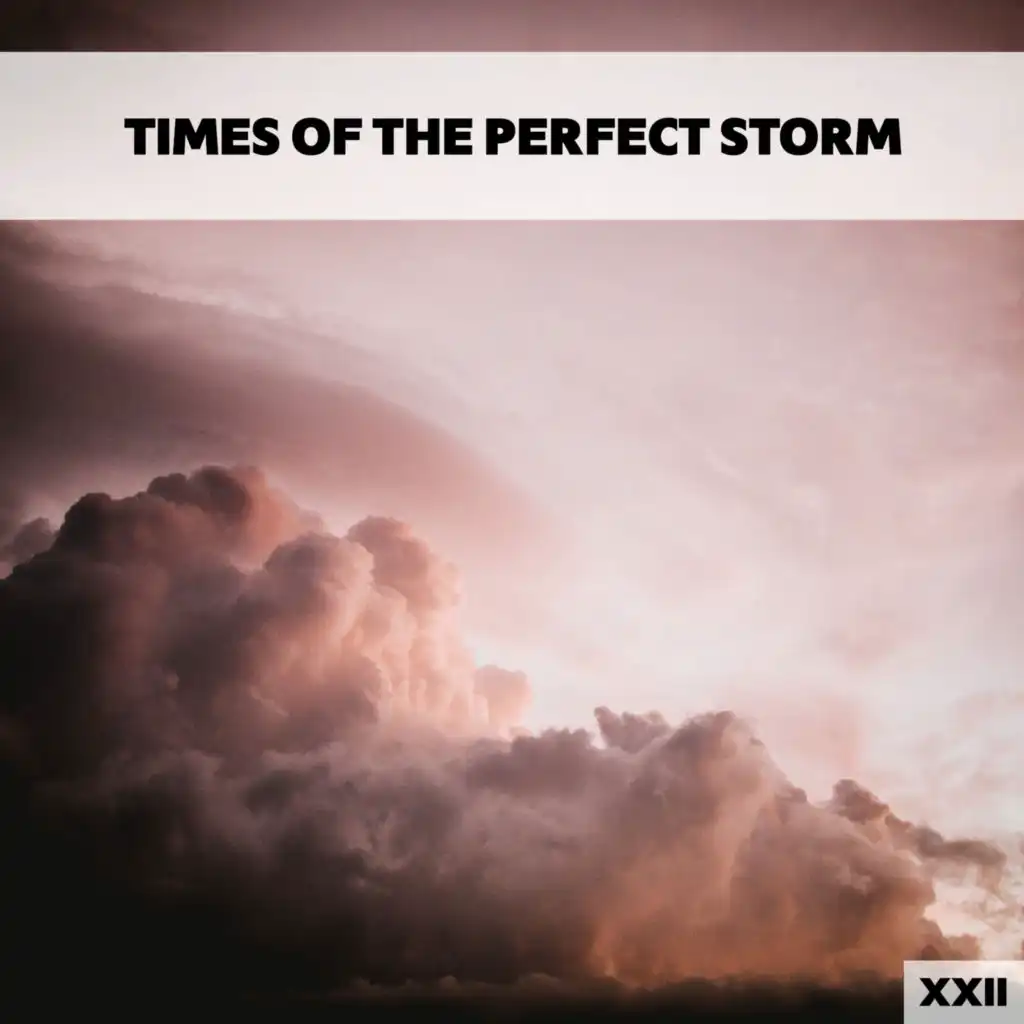 Times Of The Perfect Storm XXII