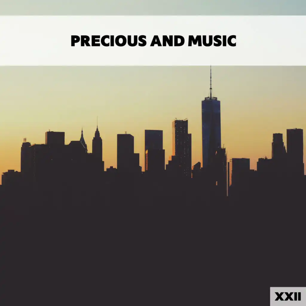 Precious And Music XXII