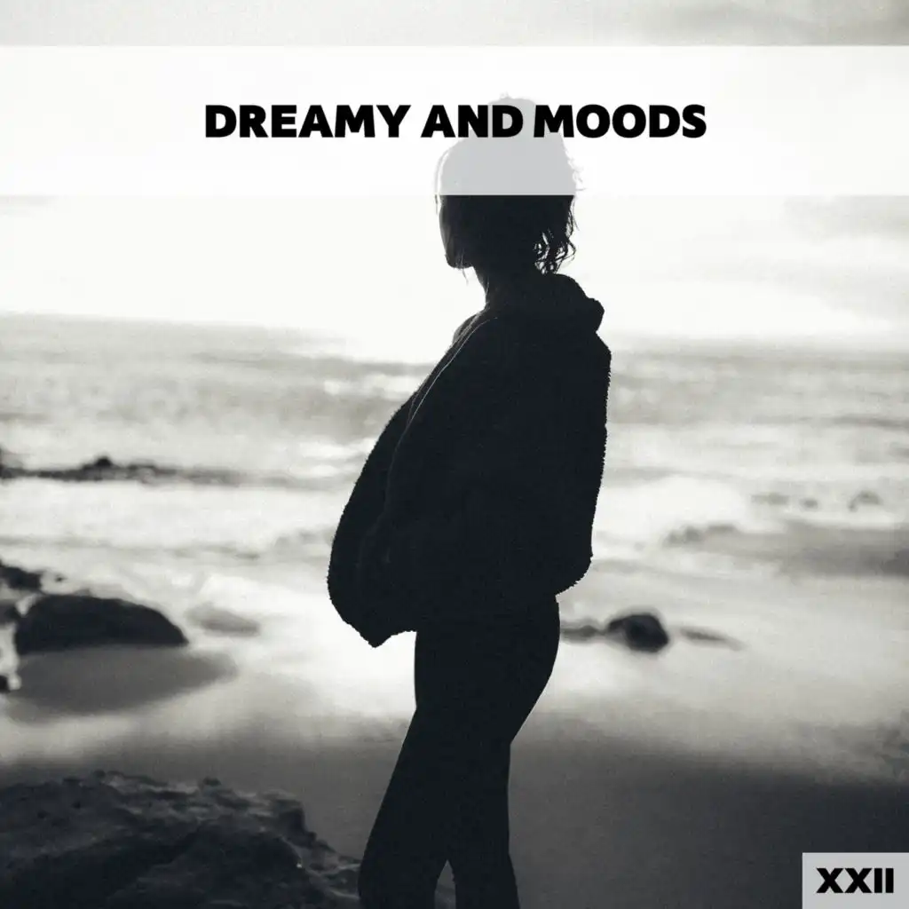 Dreamy And Moods XXII