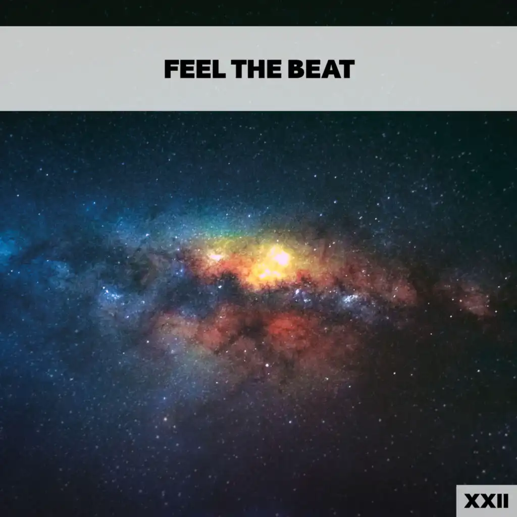 Feel The Beat XXII