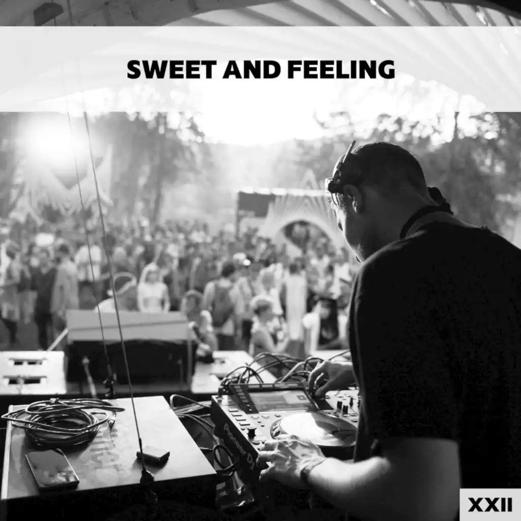 Sweet And Feeling XXII