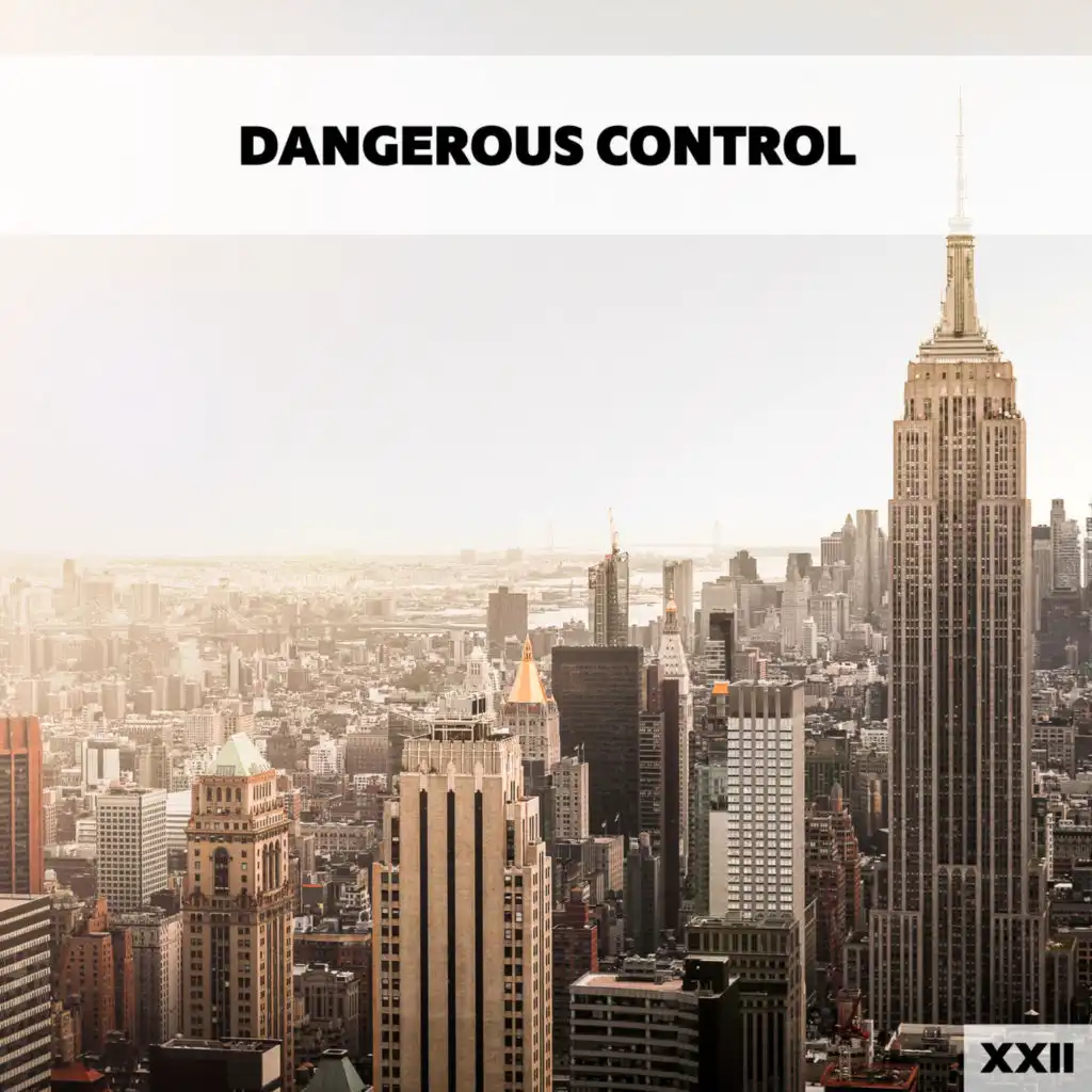 Dangerous Control XXII
