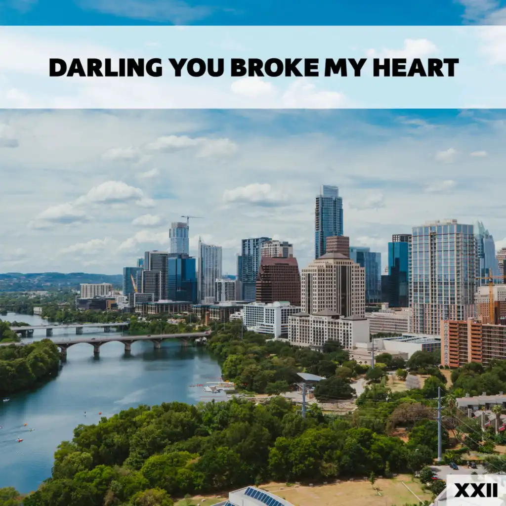 Darling You Broke My Heart XXII