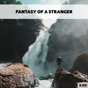 Fantasy Of A Stranger XXII