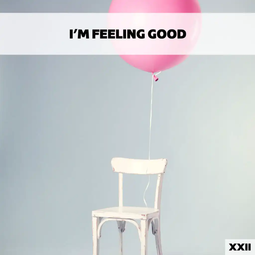 I'm Feeling Good XXII