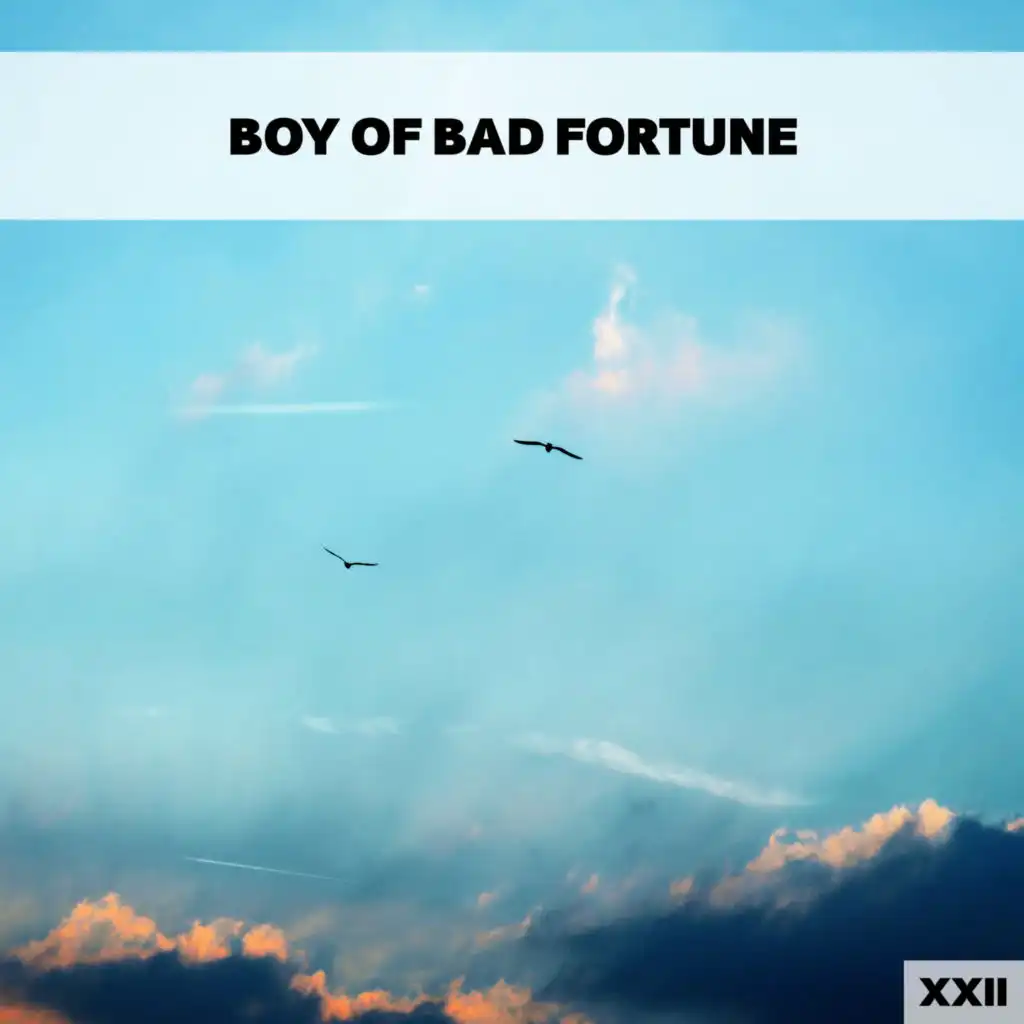 Boy Of Bad Fortune XXII