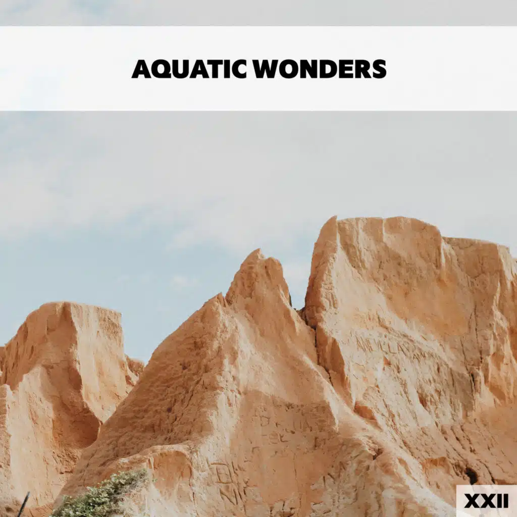 Aquatic Wonders XXII