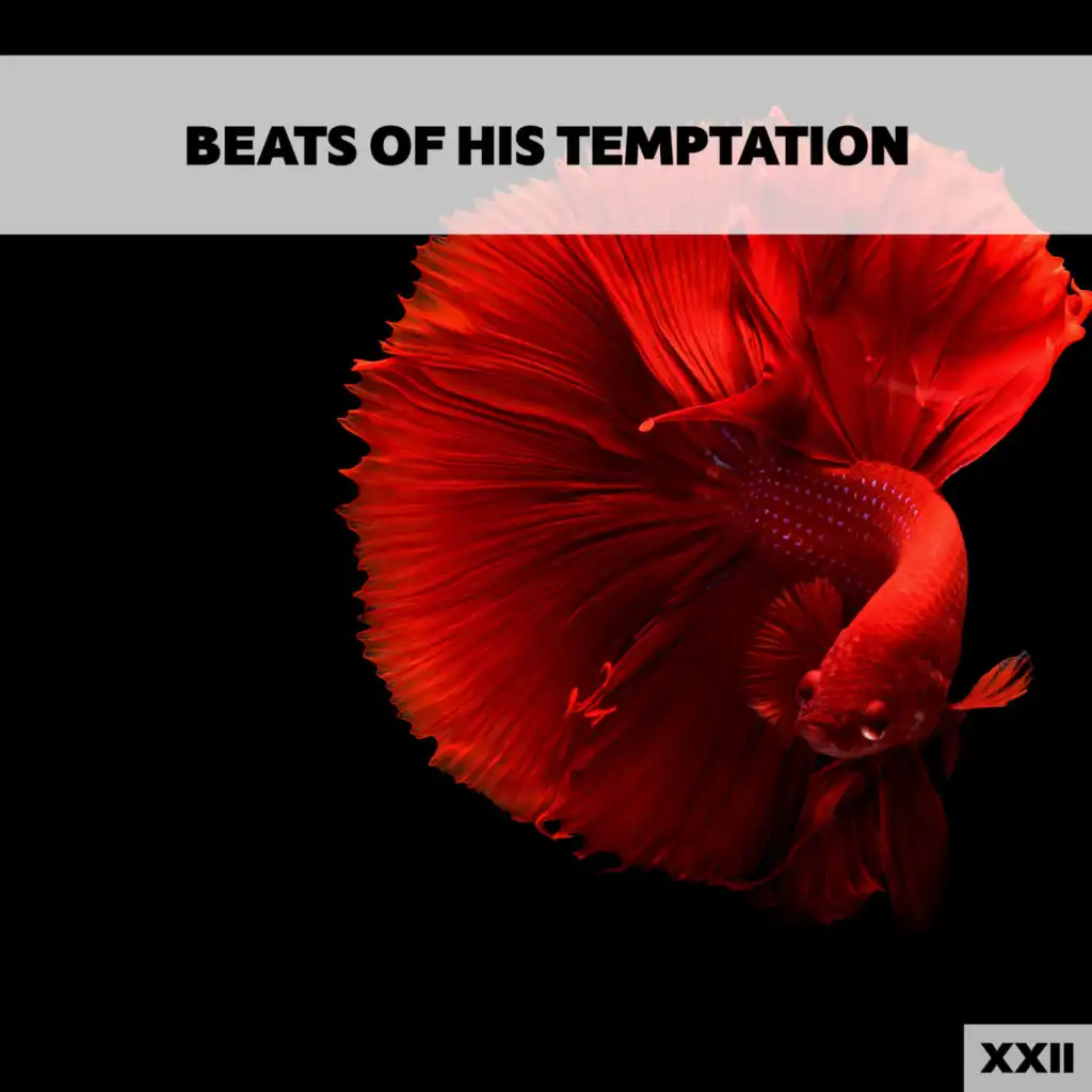 Beats Of His Temptation XXII