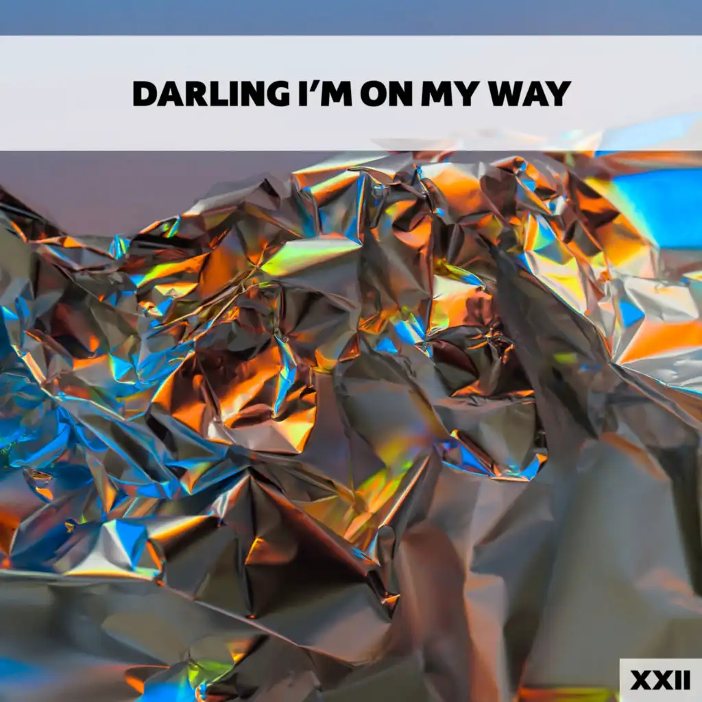 Darling I'm On My Way XXII