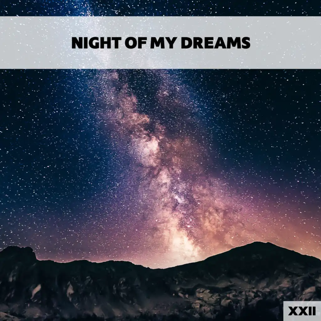 Night Of My Dreams XXII