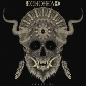 echohead