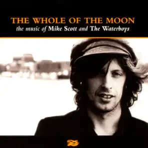 The Whole Of The Moon - The Music Of...