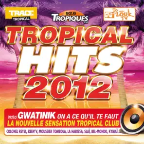 Tropical Hits 2012