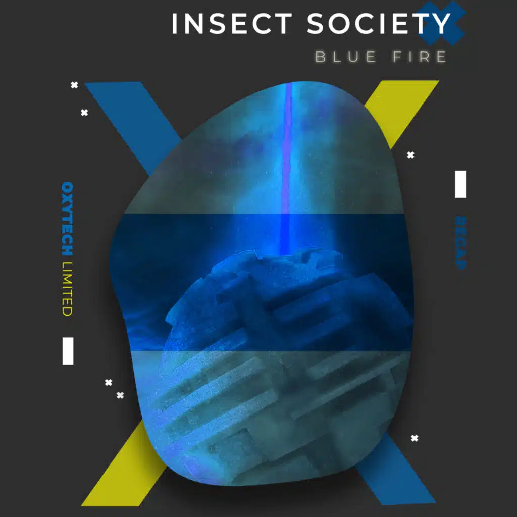Insect Society