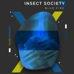 Insect Society