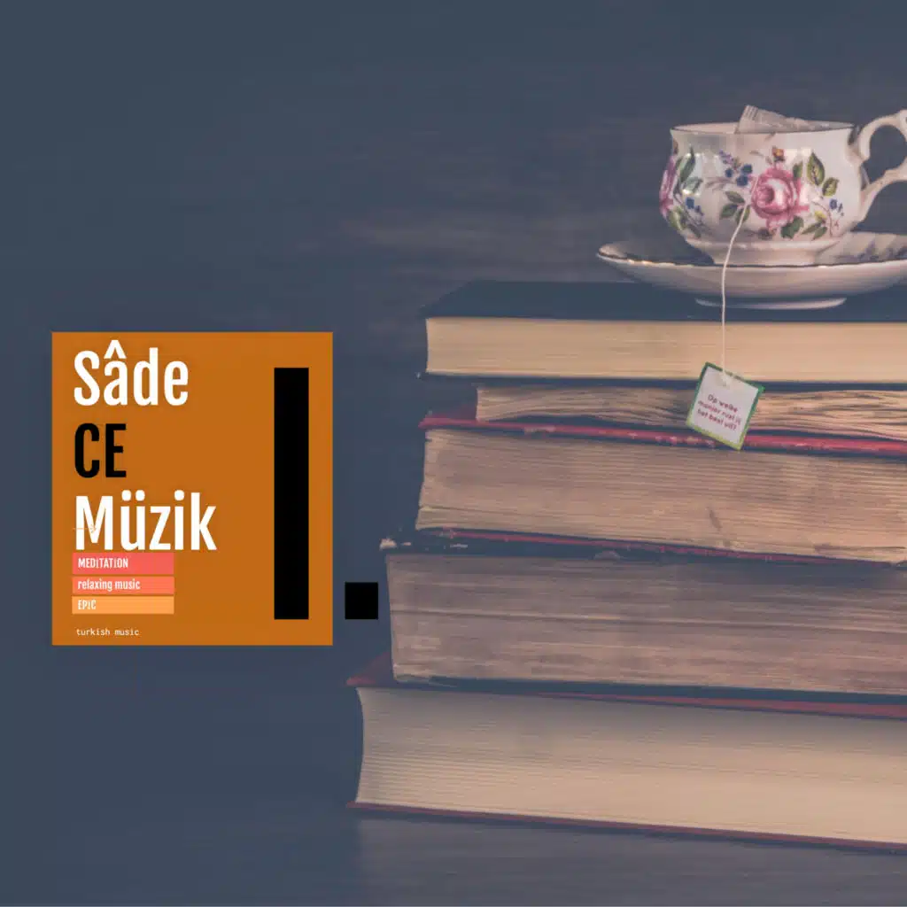 Sadece Müzik, Vol. 1 (feat. Mehmet Emin Ay)