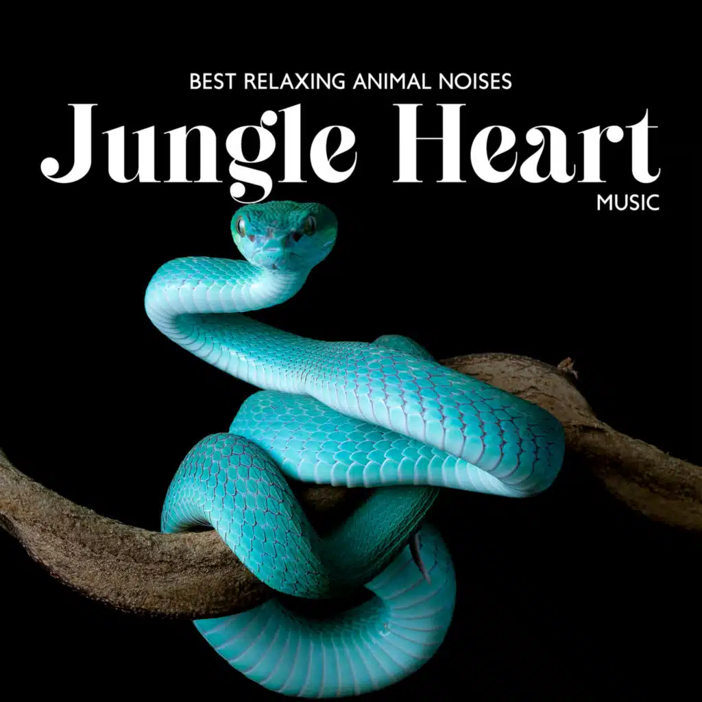 Best Relaxing Animal Noises: Jungle Heart Music