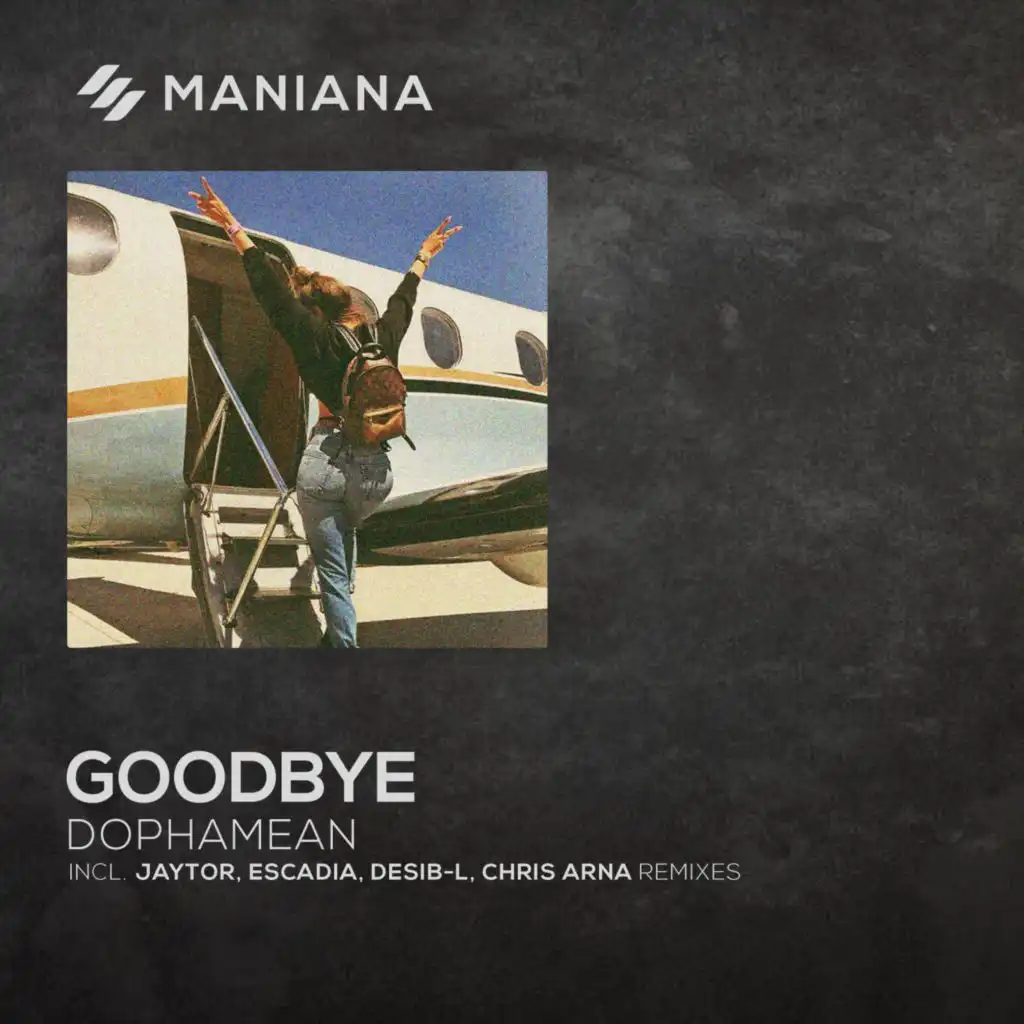 Goodbye (Chris Arna Remix)