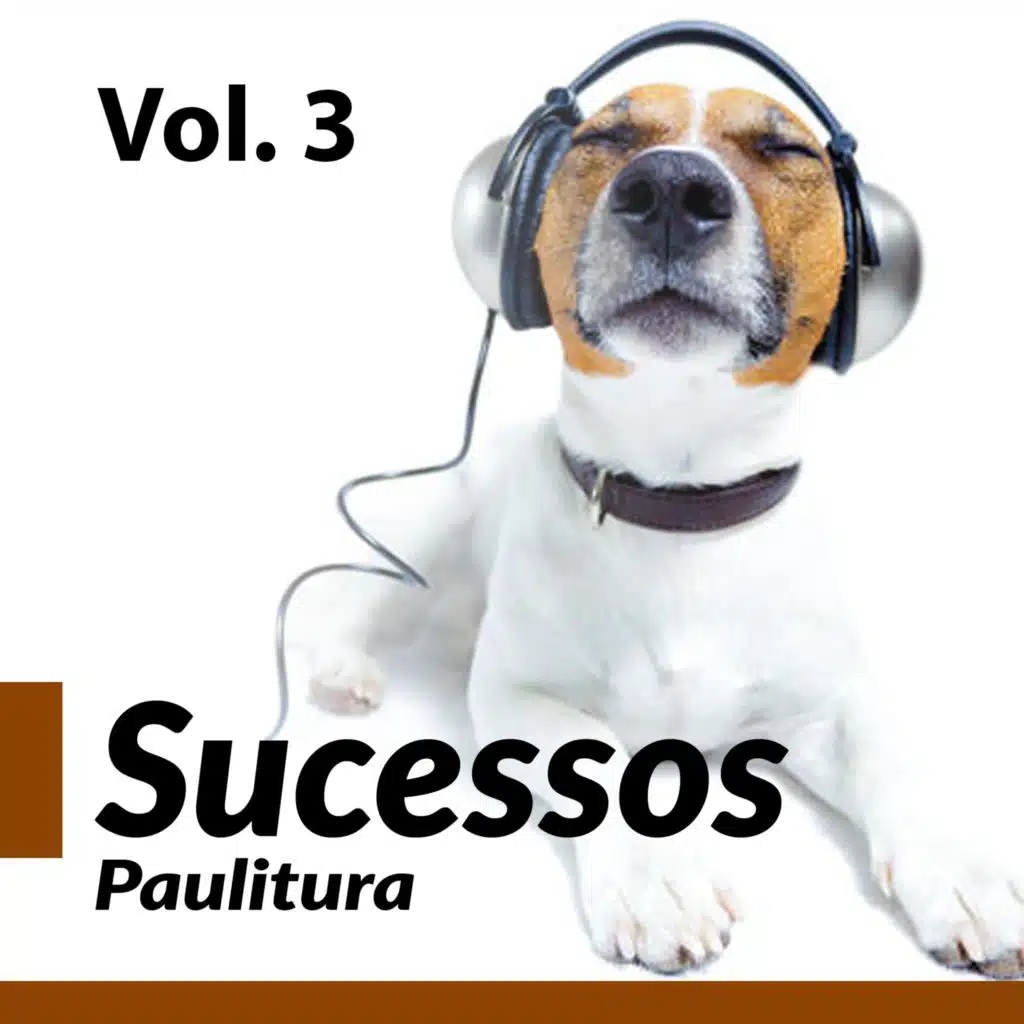 Sucessos Paulitura Vol. 3 (2022)