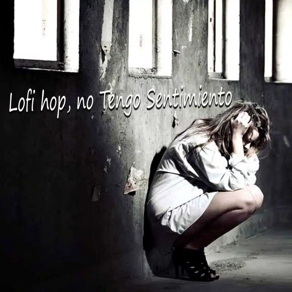 Lofi hop I have no feeling