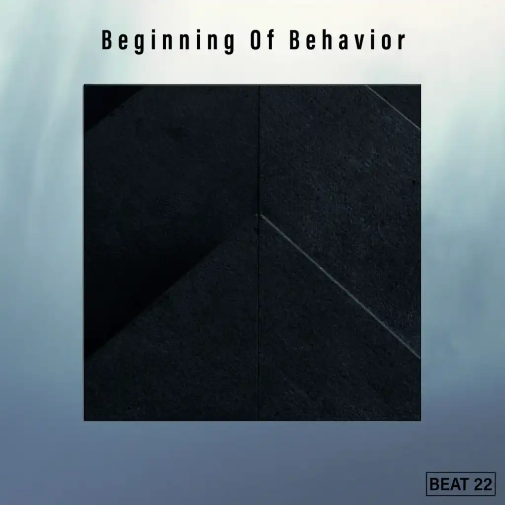Beginning Of Behavior Beat 22