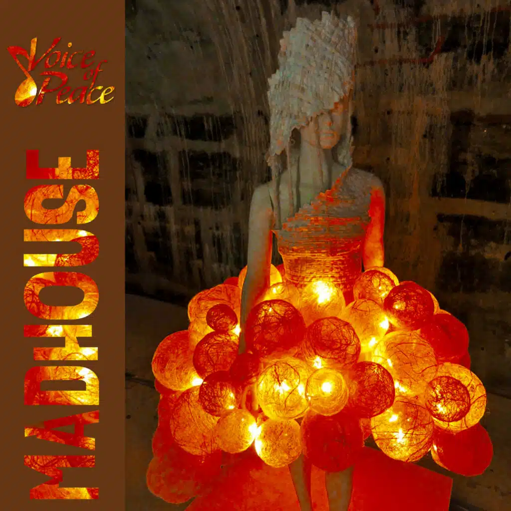 Madhouse (Media Mix)